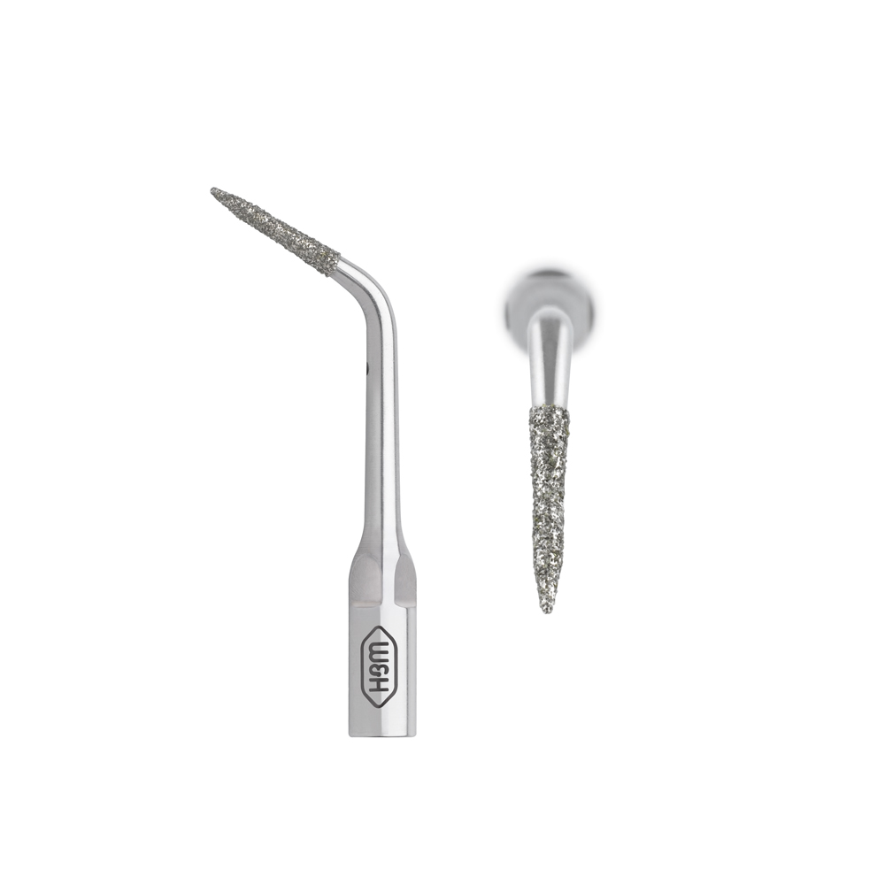 Spitze Restauration & Prothetik 1R, Tigon/+