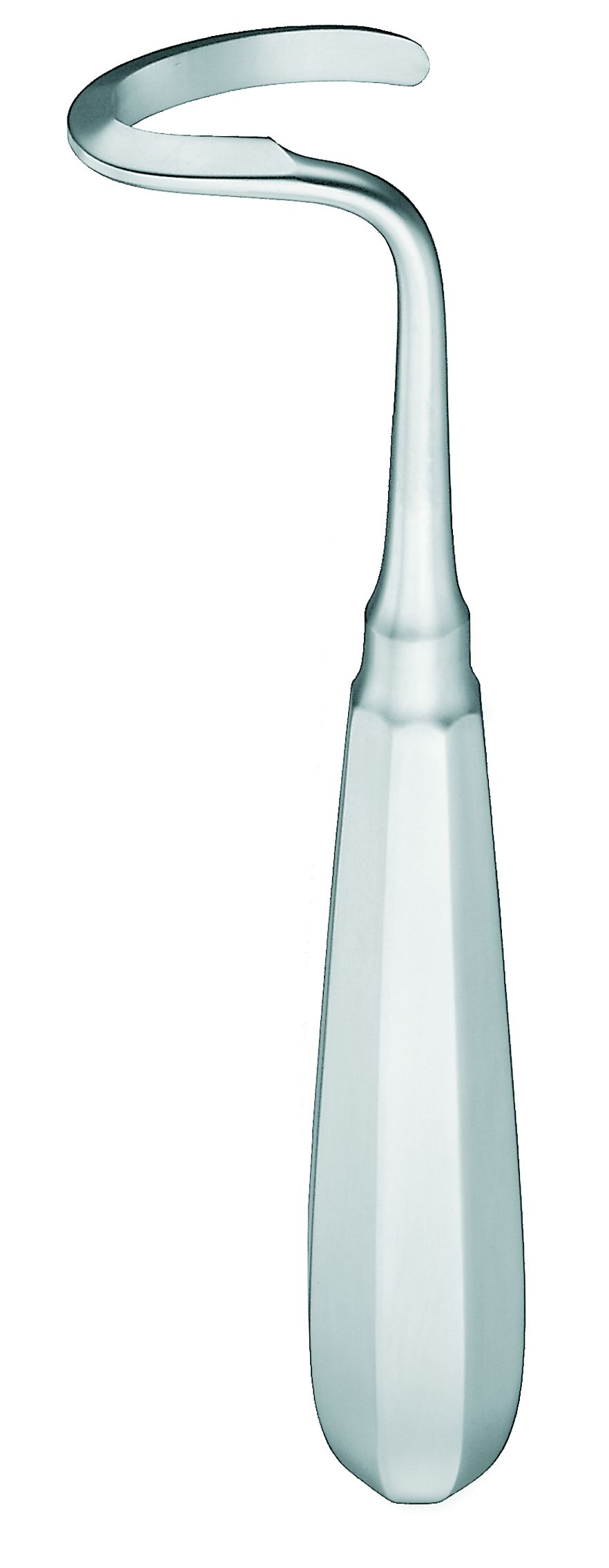 Doyen Raspat 17.0cm re