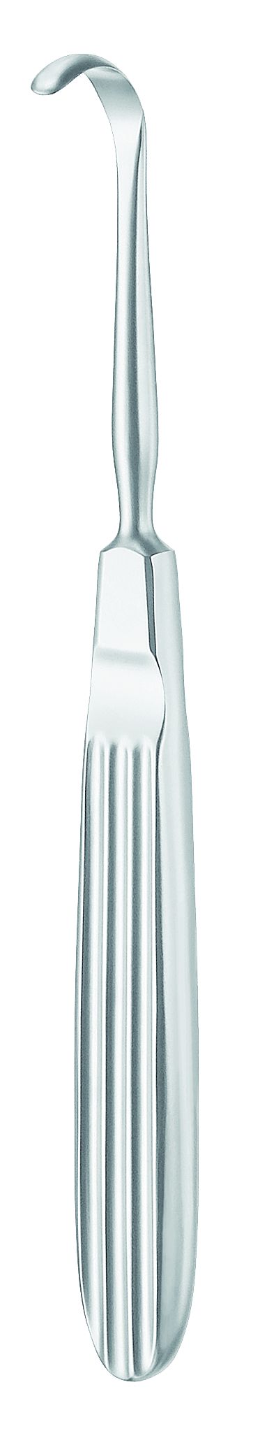 Daniel Gubisch Raspat 16cm stark geb